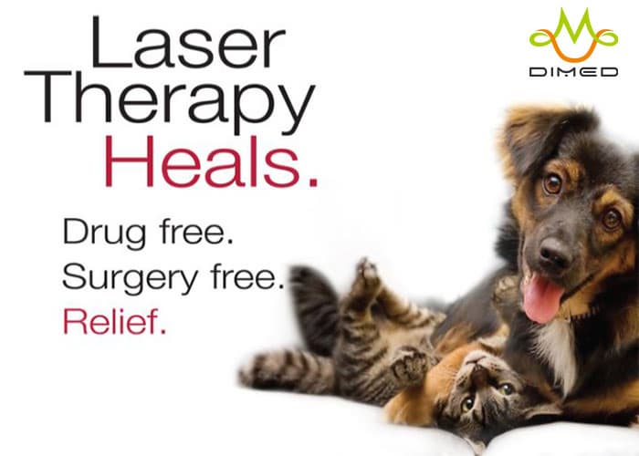 Laser therapy for treating post surgical pain